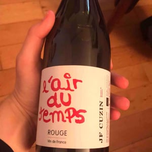 l'air du temps - Jean-François Cuzin - Jean-François Cuzin 