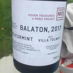 Balaton 2017 - Moric - roland-velich