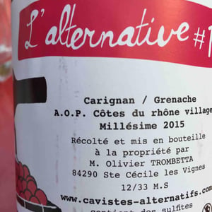 L'Alternative #1 - Le Cri de L'Araignée - Olivier Trombetta 
