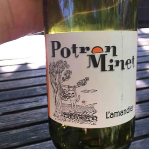 L'Amandier - Potron Minet - Jean-Sébastien Gioan 