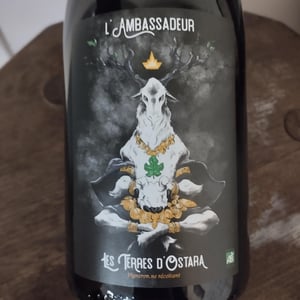 L'Ambassadeur - Les Terres d'Ostara - marine-bonnard-et-axel-harrmann
