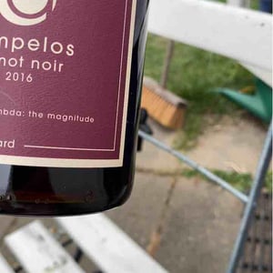Lambda - Ampelos Cellars - peter-rebecca-work
