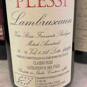 Lambrusco - Claudio Plessi - claudio-plessi -2021