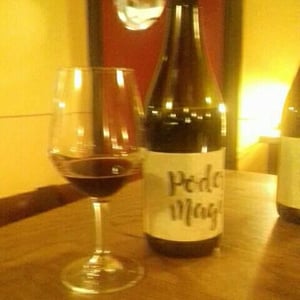 Lambrusco dell’Emilia Igt - Podere Magia - Stefano Pescarmona 
