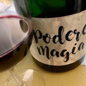 Podere Magia - Stefano Pescarmona - Lambrusco dell’Emilia Igt