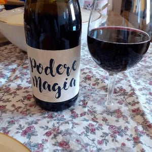 Lambrusco dell’Emilia Igt - Podere Magia - Stefano Pescarmona 