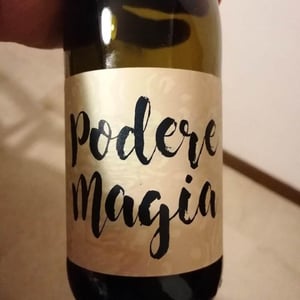 Podere Magia - Stefano Pescarmona - Lambrusco dell’Emilia Igt