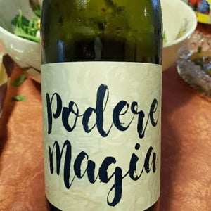 Lambrusco dell’Emilia Igt - Podere Magia - stefano-pescarmona