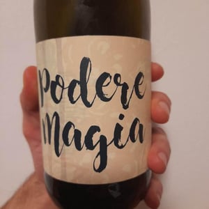 Lambrusco dell’Emilia Igt - Podere Magia - Stefano Pescarmona 