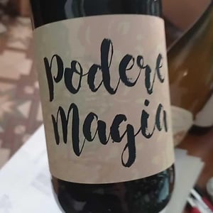 Lambrusco dell’Emilia Igt - Podere Magia - stefano-pescarmona