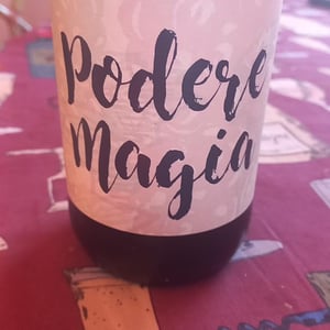 Lambrusco dell’Emilia Igt - Podere Magia - Stefano Pescarmona 