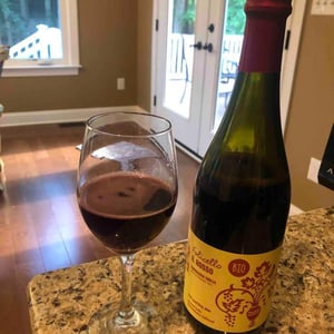 Lambrusco Emilia - Folicello Società Agricola - antonella-marco-fontana
