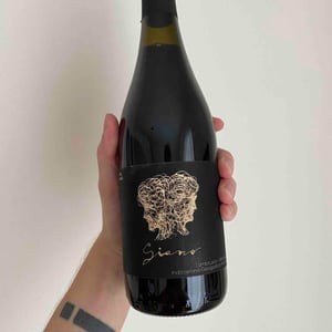 Lambrusco Giano - Fondo Bozzole - franco-mario-accorsi