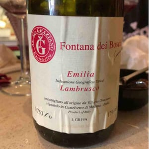 Lambrusco - Fontana dei Boschi - Vittorio Graziano 
