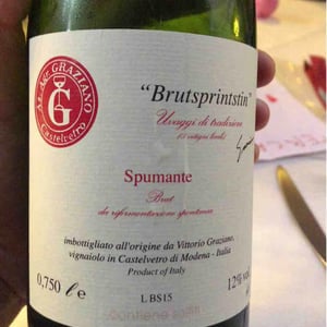 Lambrusco - Fontana dei Boschi - Vittorio Graziano 
