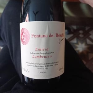 Lambrusco - Fontana dei Boschi - vittorio-graziano