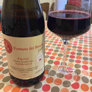 Lambrusco - Fontana dei Boschi - vittorio-graziano