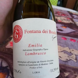 Lambrusco - Fontana dei Boschi - Vittorio Graziano 