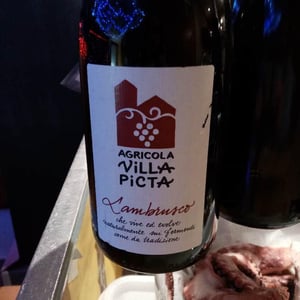 Lambrusco Villa Picta - Villa Picta - Paolo Pasini -2020
