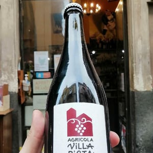 Lambrusco Villa Picta - Villa Picta - paolo-pasini -2020