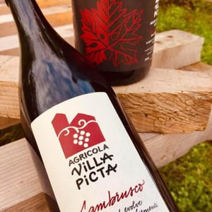Lambrusco Villa Picta - Villa Picta - paolo-pasini -2020