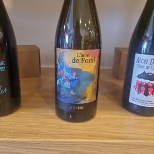 L'Âme de Fond - Le Fief Noir - dominique-sirot-alexis-soulas