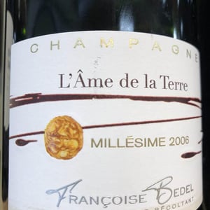 L'Ame de la Terre - Françoise Bedel - francoise-bedel