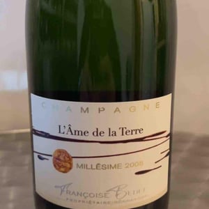 L'Ame de la Terre - Françoise Bedel - Françoise Bedel 