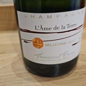 L'Ame de la Terre - Françoise Bedel - francoise-bedel