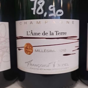 L'Ame de la Terre - Françoise Bedel - Françoise Bedel 