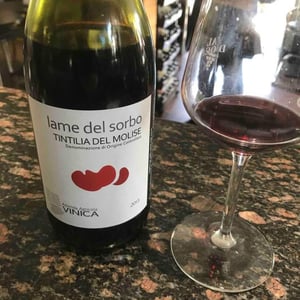 Lame del Sorbo - Tintilia del Molise Rosso - Azienda Agricolavinica - rodolfo-gianserra-e-giuseppe-tudino