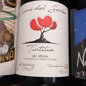 Lame del Sorbo - Merlot del Molise - Azienda Agricolavinica - rodolfo-gianserra-e-giuseppe-tudino
