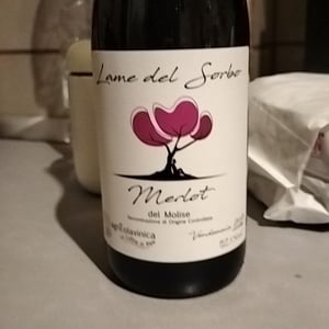 Lame del Sorbo - Merlot del Molise - Azienda Agricolavinica - Rodolfo Gianserra e Giuseppe Tudino 