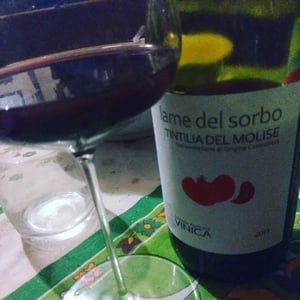 Lame del Sorbo - Tintilia del Molise Rosso 2013