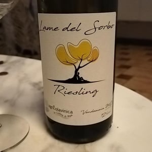 Lame del Sorbo Riesling - Azienda Agricolavinica - Rodolfo Gianserra e Giuseppe Tudino 