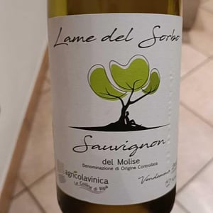 Lame del Sorbo - Sauvignon - Azienda Agricolavinica - Rodolfo Gianserra e Giuseppe Tudino 