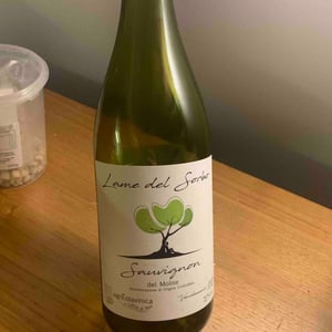 Lame del Sorbo - Sauvignon - Azienda Agricolavinica - Rodolfo Gianserra e Giuseppe Tudino 