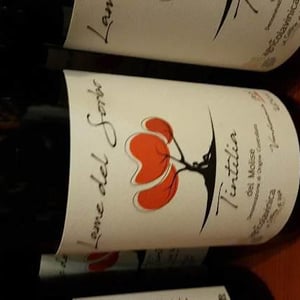 Lame del Sorbo - Tintilia del Molise Rosso - Azienda Agricolavinica - rodolfo-gianserra-e-giuseppe-tudino