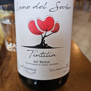 Lame del Sorbo - Tintilia del Molise Rosso - Azienda Agricolavinica - Rodolfo Gianserra e Giuseppe Tudino 