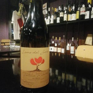 Lame del Sorbo - Tintilia del Molise Rosso Riserva - Azienda Agricolavinica - rodolfo-gianserra-e-giuseppe-tudino