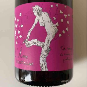 Vignes De L'Atrie (CLOSED) - Elise Hamant (CLOSED) - L'Âme Heureuse