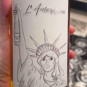 L'Americana - Tenuta Vincenzo Nardone - nicola-nardone