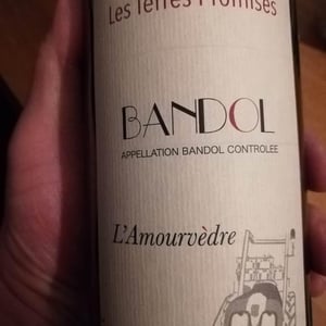 Les Terres Promises - Jean-Christophe Comor - L'Amourvèdre