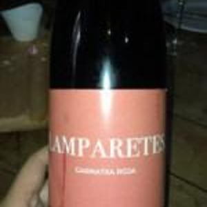 Lamparetes - Vins de Grop - Vins de Grop 