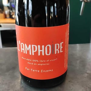 L’Amphoiré - Terre Ensems - krystel-costes-michel-bouisseren
