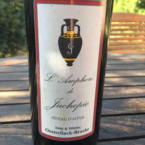 L’Amphore - Domaine de Juchepie - eddy-mileine-oosterlinck-bracke -2018