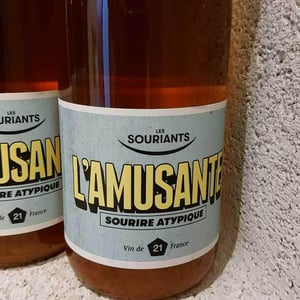 L'amusante - Domaine Les Souriants - maxime-troncy-damien-polosse