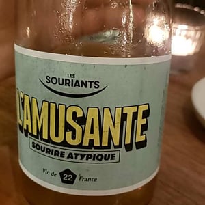L'amusante - Domaine Les Souriants - maxime-troncy-damien-polosse