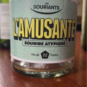L'amusante - Domaine Les Souriants - Maxime Troncy & Damien Polosse 