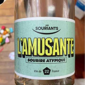 L'amusante - Domaine Les Souriants - Maxime Troncy & Damien Polosse 